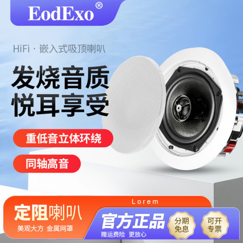 定阻同轴吸顶喇叭EodExo