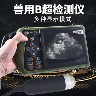 18天可测 检测妊娠 5.6英寸清晰 母猪测怀孕B超 彩色兽用B超机