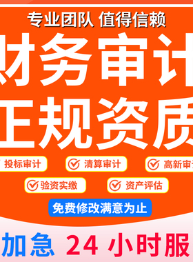 审计投标高新专项年度财务报表离任清算报告民非会计审计咨询