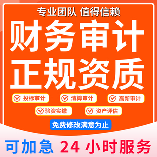 审计投标高新专项年度财务报表离任清算报告课题民非会计审计咨询