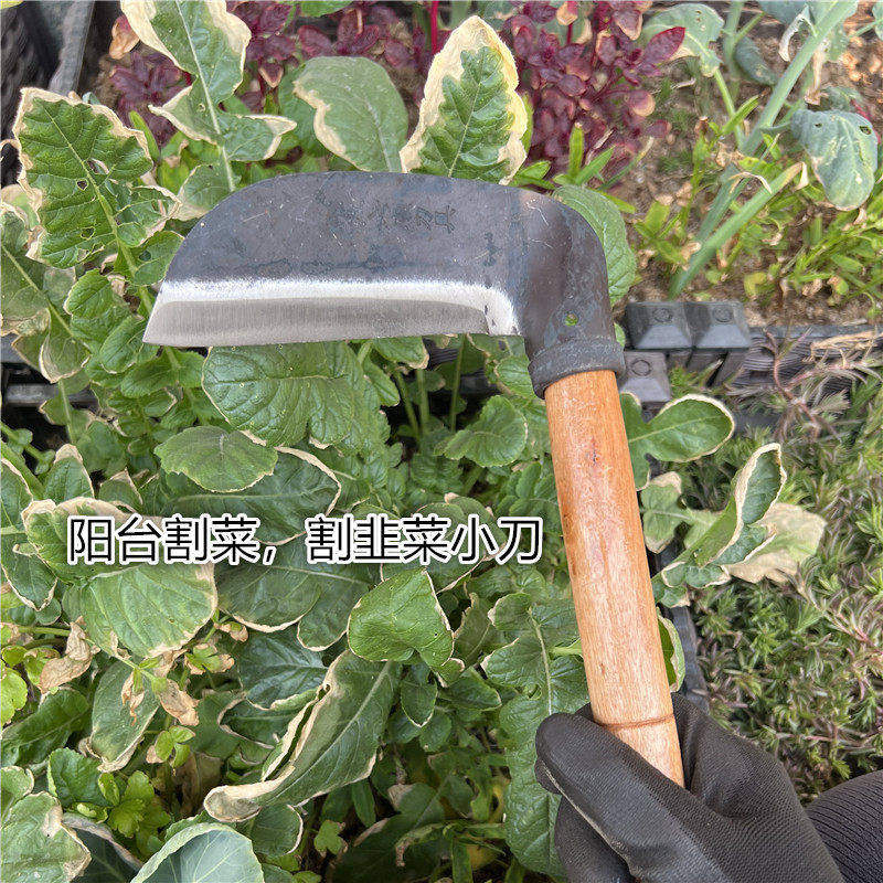 阳台割韭菜专用小镰刀小号割草刀野菜蔬菜刀割草神器家用迷你版