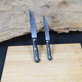 治中不锈钢水果刀家用尖头便携进口瓜果刀随身刀子多功能削皮小刀