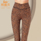 薄款 女春秋季 秋裤 薄绒高腰弹力修身 凯蒂芬新款 小脚女裤 豹纹打底裤