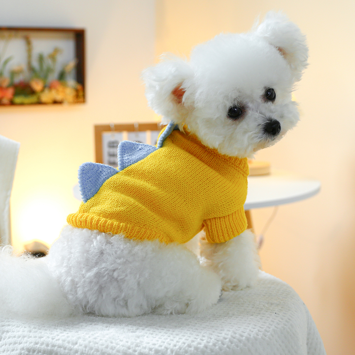宠物秋冬保暖针织毛衣套头两脚衣