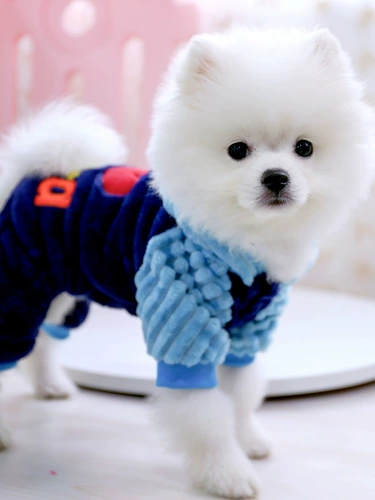 Одежда для домашних животных маленькая собака Тедди четырехдушная одежда для одежды Бомей Утолщен и бархат осенью и зимним сезоном