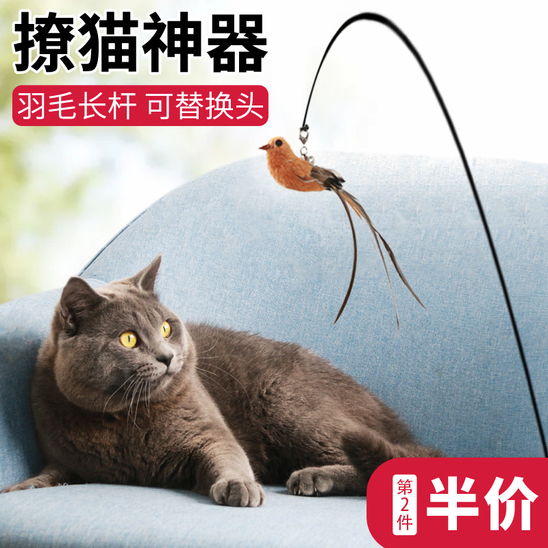 钢丝逗猫棒长杆鸟羽毛解闷神器