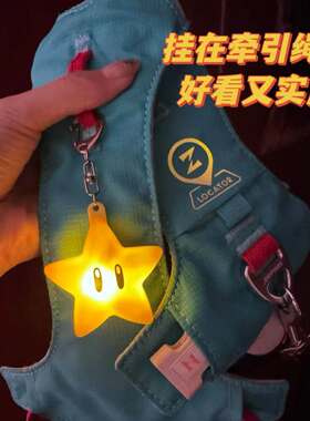 猫狗夜行发光防走失星星灯