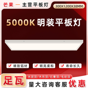 300x1200平板灯5000k明装led吸顶灯30x120办公室店铺免开孔面板灯