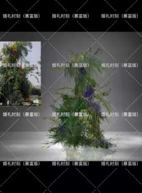 婚礼花艺深绿色紫色森系毛茸茸手绘花艺素材psd设计素材