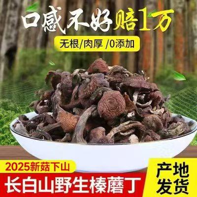 东北长白山野生榛蘑丁臻蘑特级