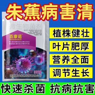 朱蕉病害微生物杀菌软腐病立枯病通用朱蕉病害剂叶斑白粉灰霉病药