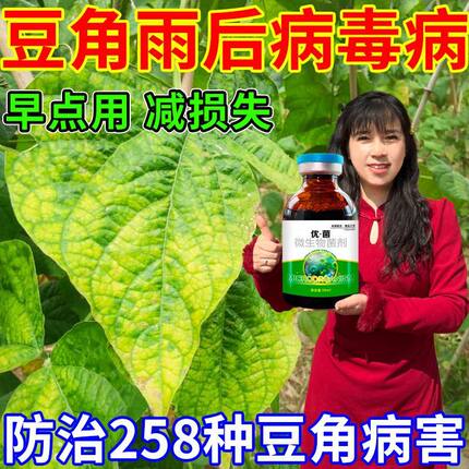 豆角病全治雨后豆角叶斑病锈病枯萎根腐病叶子发黄专用杀菌真菌病
