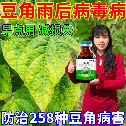 豆角病全治雨后豆角叶斑病锈病枯萎根腐病叶子发黄专用杀菌真菌病
