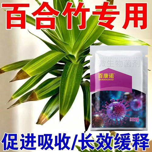 百合竹专用肥叶面发黄落叶烂根枯黄小黑斑百合竹专用微生物菌剂