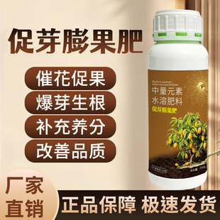 果树催芽剂发芽正品催芽发枝素打破休眠提前出芽开花整齐爆芽素