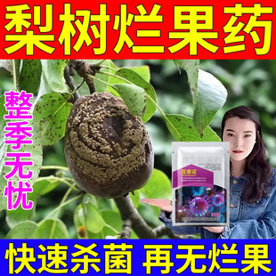 梨树锈病梨树白粉病疫病梨树病通用杀菌剂专用梨树病炭疽病叶斑病