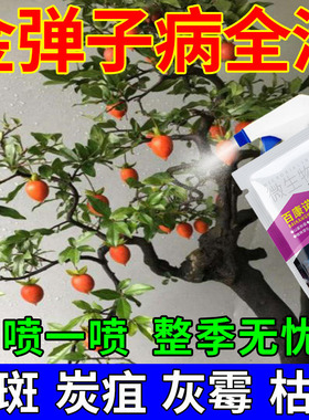 金弹子病害专用金弹子灰霉炭疽病白粉病杀菌剂促花挂果防黄叶黑斑