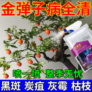 金弹子病害专用金弹子灰霉炭疽病白粉病杀菌剂促花挂果防黄叶黑斑