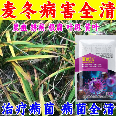 麦冬病通用烂果病根腐病麦冬叶枯病专用杀菌剂麦冬药白粉病叶枯病