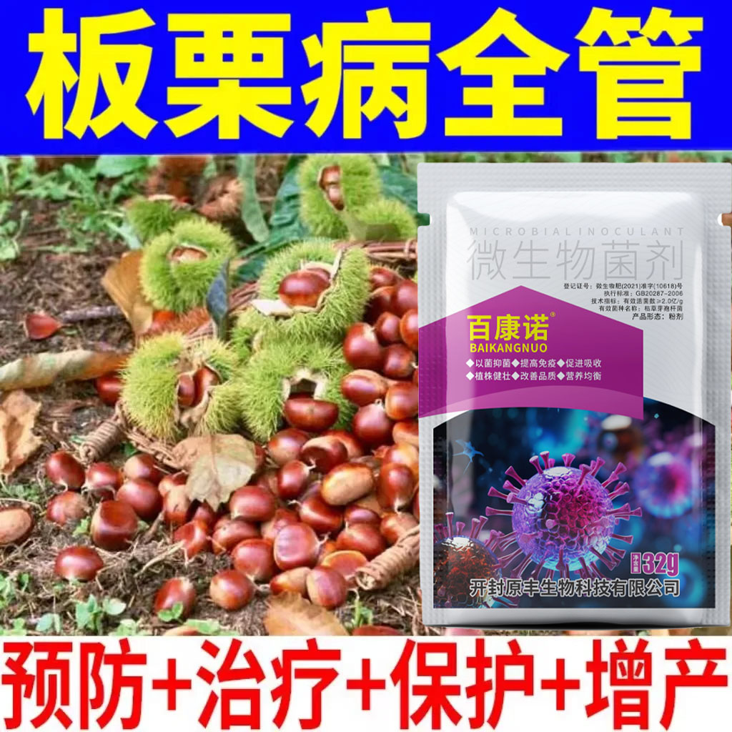 【板栗病害】叶斑病果实霉烂病板栗树板栗病害黄叶病干枯病白粉病