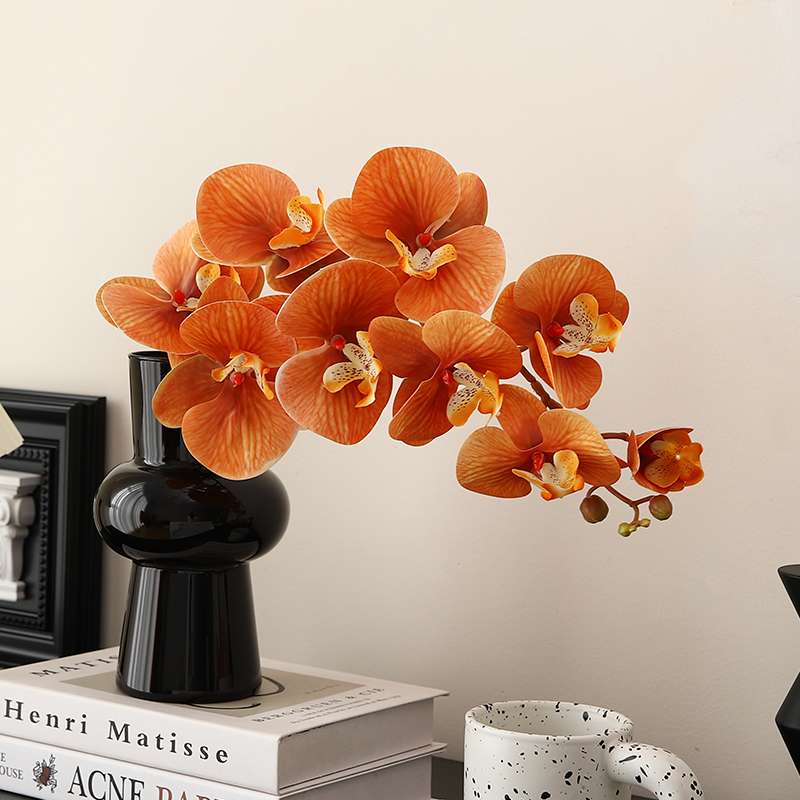 小红书万人种草推荐~快快下单吧