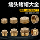 加厚4分6分内丝外丝堵头堵帽不锈钢四分水管闷头管堵管帽铜堵头
