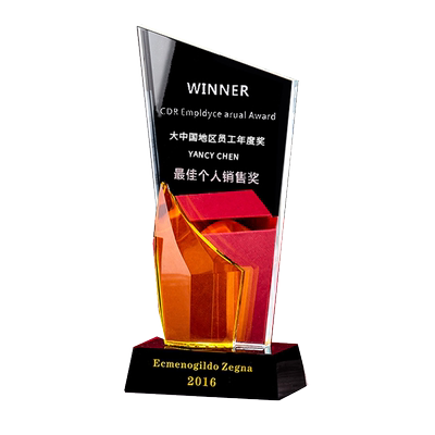 企业礼品奖杯定制百变乐园