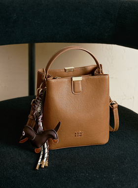 C1074CX5新款手提包