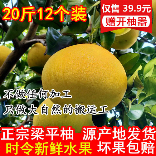 梁平柚新鲜水果产地直发