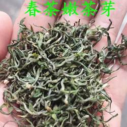 2025年新春茶上等茶广西桂平西山茶50g 明前茶芽耐泡生津回甘持久