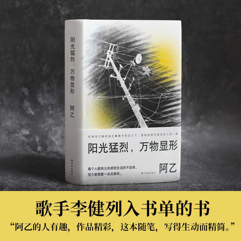 阳光猛烈 万物显形 阿乙作品以词典形式收录阿乙人生与写作的关键词 一本私人阅读和观影史作家成长指南豆瓣高分作品 译林出版社
