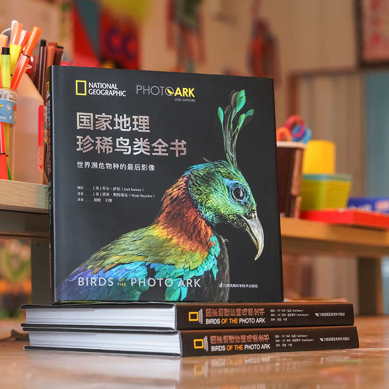 国家地理：珍稀鸟类全书 世界濒危物种的影像 精选300多种鸟类绝美影像照片“影像方舟”作品 江苏科技社正版
