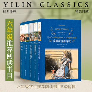 小学六年级推荐阅读5册：童年/爱的教育/鲁滨逊漂流记/骑鹅旅行记/爱丽丝漫游奇境（单本可选）世界畅销名著学生课外阅读译林正版