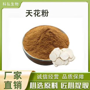 天花粉 50:1高比例天花提取物 天花粉提取物 天花黄酮 瓜蒌提取物