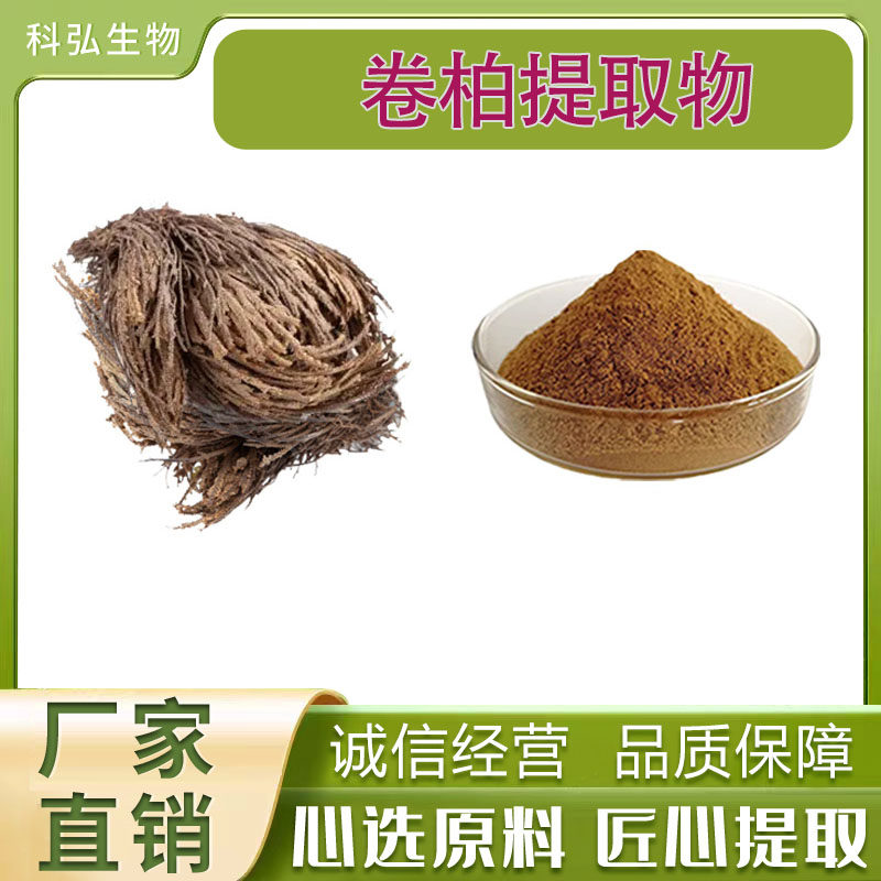 卷柏提取物九死还魂草提取物