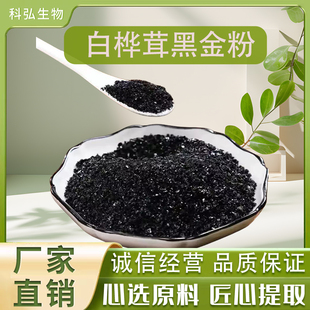 白桦茸黑金粉 桦褐孔菌粉 水溶粉多种规格 白桦茸多糖 厂家现货