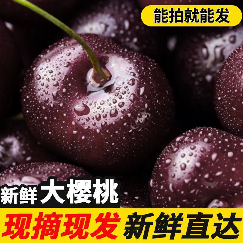 烟台大樱桃新鲜当季水果国产车厘车厘子/樱桃