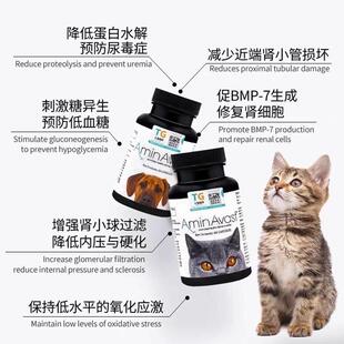 美国AminAvast胺肾衰停猫狗急慢性肾衰结石降肌酐活肾安平胶囊