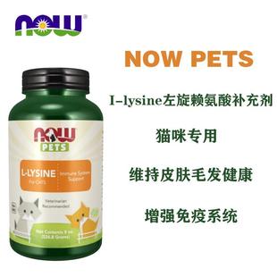 美国Now lysine左旋赖氨酸补充剂鼻支增加免疫力 Foods猫用