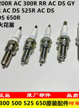 无极150GT SR4 300R RR 500R 525R 650DS AC DS GY原装火花塞火嘴