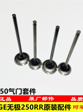 隆鑫LX250GS-3无极250RR KE250发动机原装气门套件进排气门
