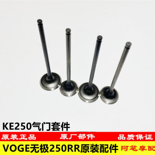 隆鑫LX250GS-3无极250RR KE250发动机原装气门套件进排气门