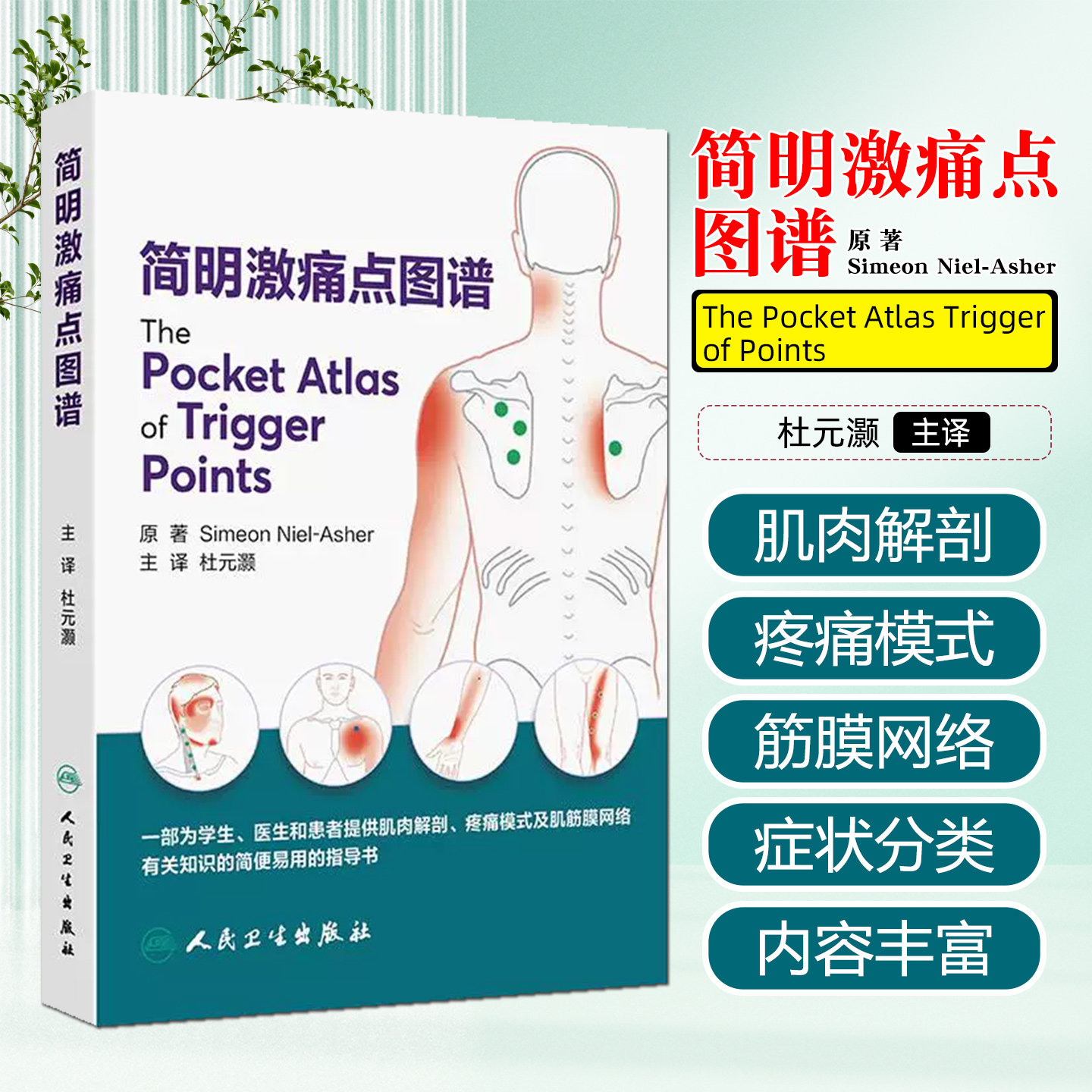 简明激痛点图谱 杜元灏主泽 肌肉解剖疼痛模式及肌筋膜网络有关知识的简便易用的指导书人民卫生出版社9787117380133
