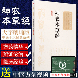 正版 神农本草经 中医十大经典系列 中医经典名医名方参考工具书籍 中国医药科技出版社9787506798037