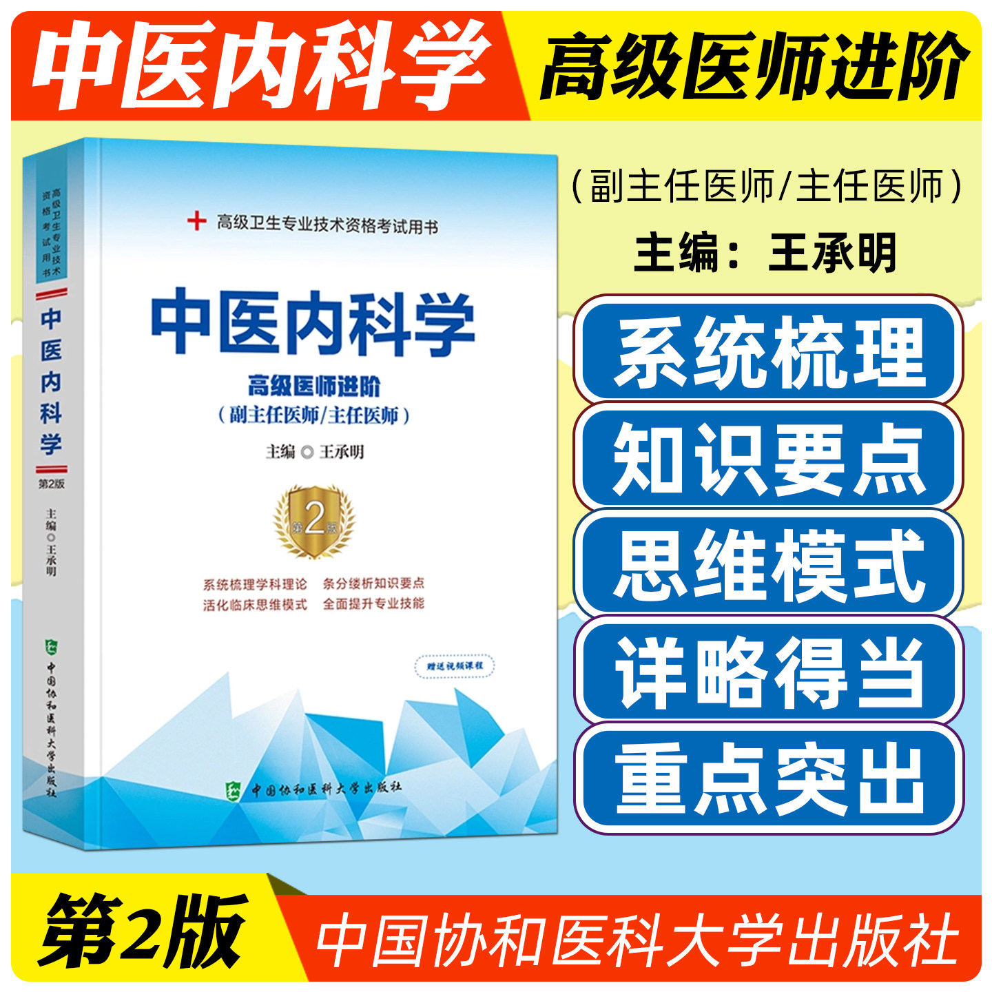 正版中医内科学高级医师进阶