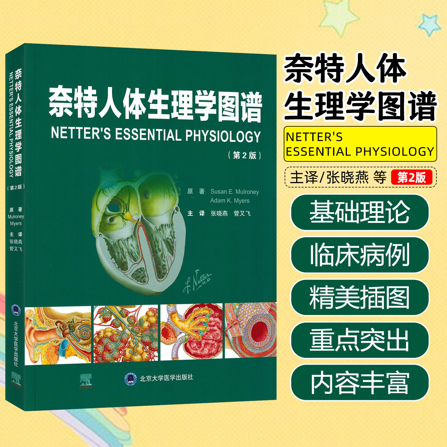 奈特人体生理学图谱第2版北京大学医学出版社9787565933400