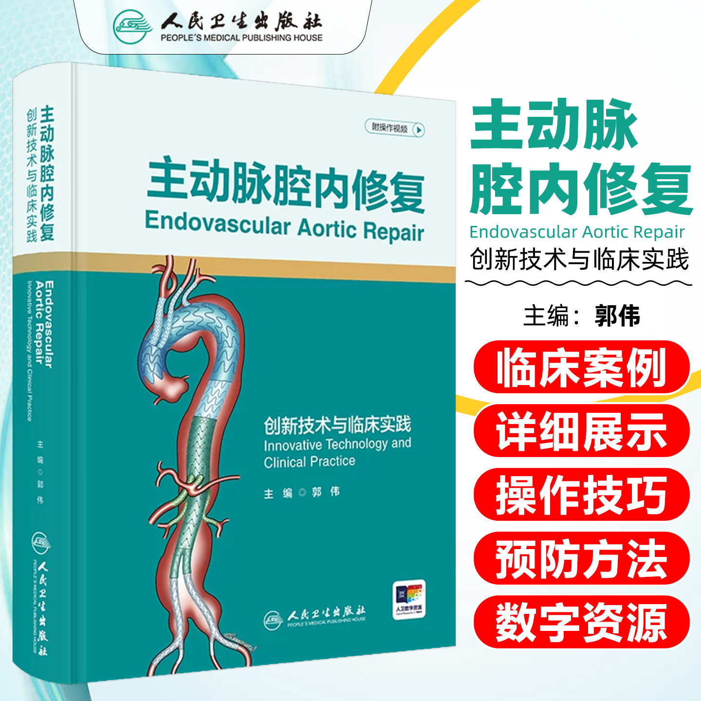 主动脉腔内修复创新技术与临床实践郭伟人民卫生出版社9787117386449