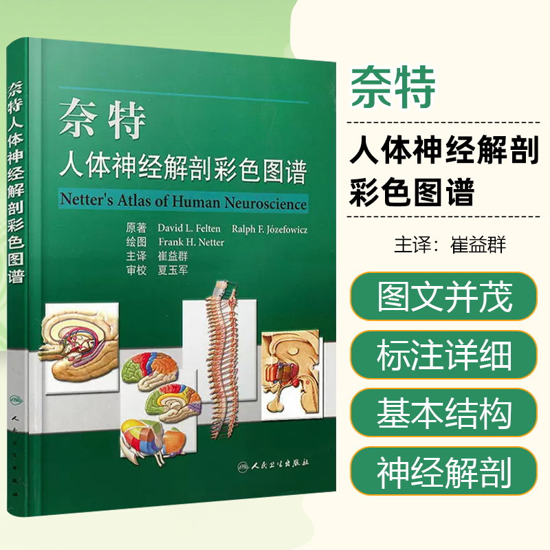 正版奈特人体神经解剖彩色图谱崔益群人体解剖书医学解剖教程神经内科学参考工具书籍人民卫生出版社9787117078962