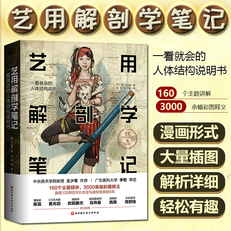 正版艺用解剖学笔记石政贤高莹