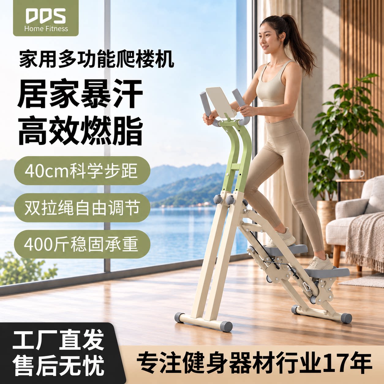 DDS多德士爬楼机健身家用2026新款室内踏步机燃脂运动器材健身